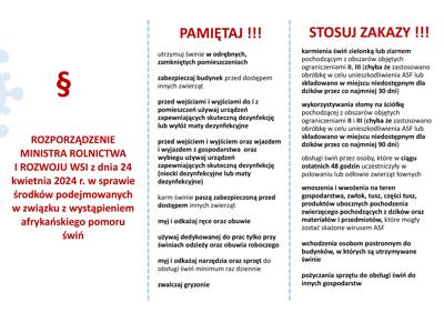 afrykański pomór świń
