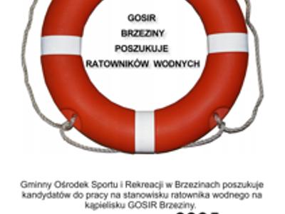 GOSIR Brzeziny zatrudni ratowników wodnych