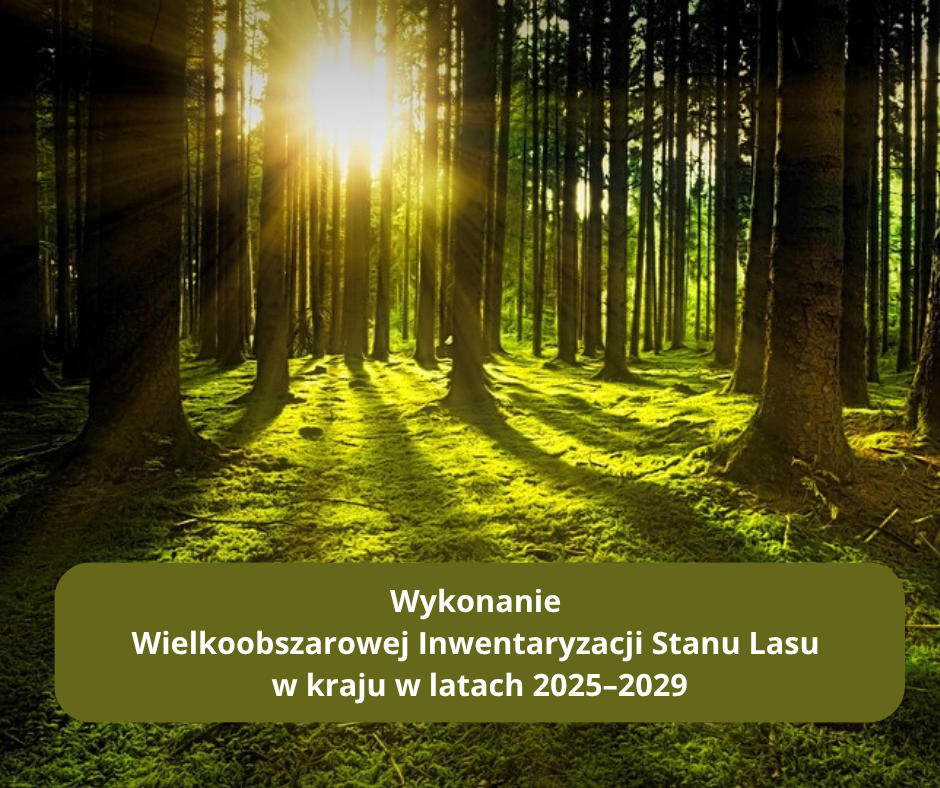 Wykonywanie Wielkoobszarowej Inwentaryzacji Stanu Lasu w kraju w latach 2025-2029