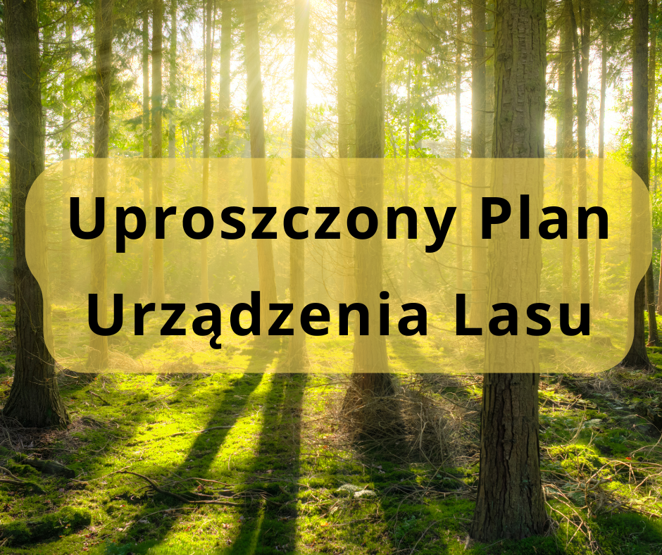 Grafika informacyjna na tle słonecznego lasu z napisem „Uproszczony Plan Urządzenia Lasu”