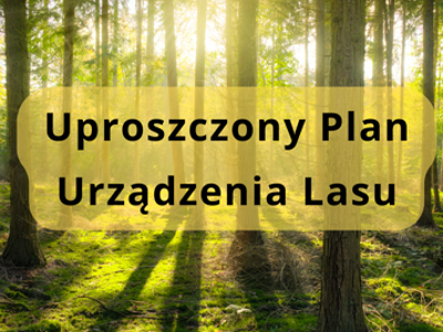 Grafika informacyjna na tle słonecznego lasu z napisem „Uproszczony Plan Urządzenia Lasu”