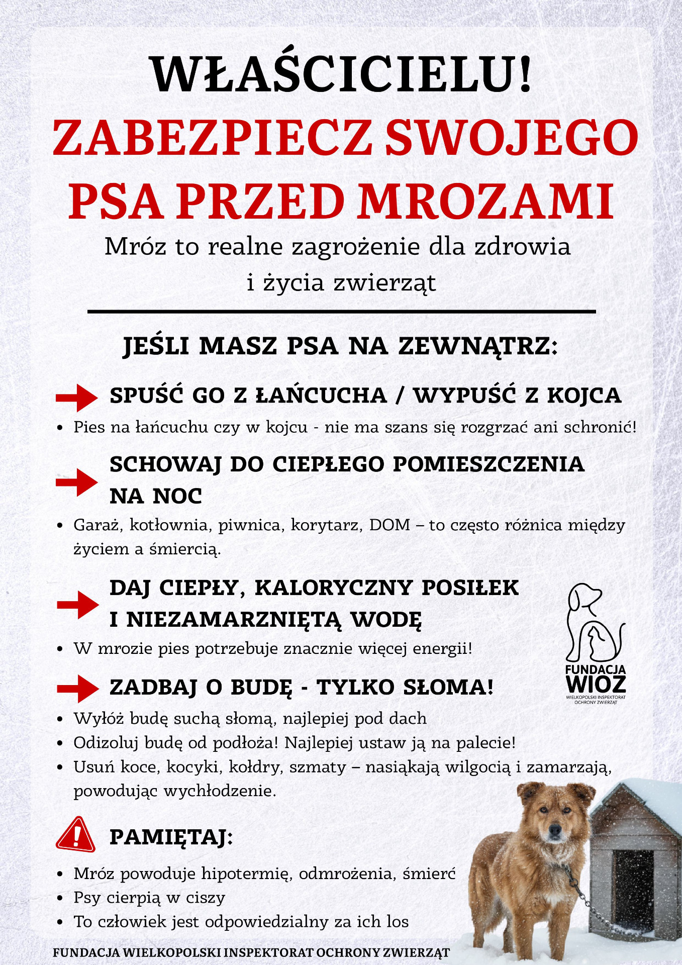 mrozy zagrażają zwierzętom