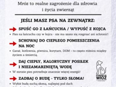 mrozy zagrażają zwierzętom