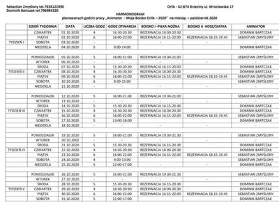 Zdjęcie Harmonogram pracy animatorów na terenie boiska Orlik w Brzezinach na miesiąc październik 2020