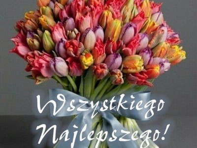 bukiet tulipanów