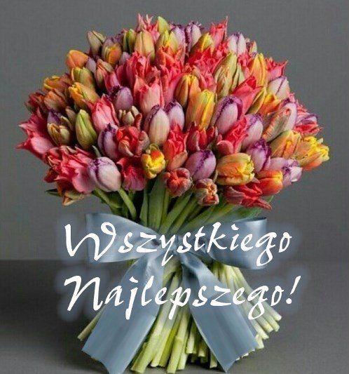 bukiet tulipanów 