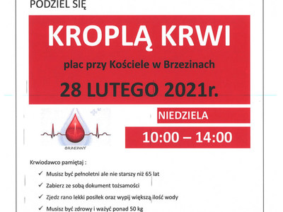Plakat