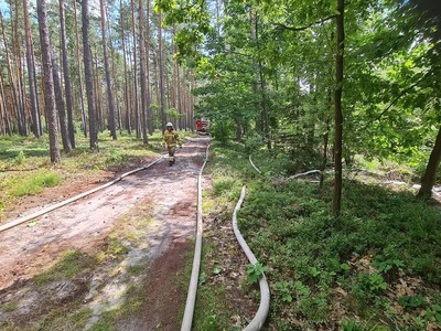 strażacy z wężami