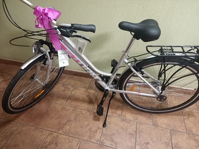 zdjęcie przedstawia rower