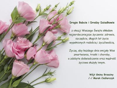 Życzenia z okazji Dnia Babci i Dnia Dziadka