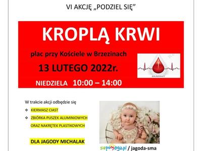 Plakat promujący akcję "Podziel się kroplą krwi"