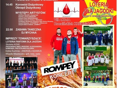 plakat, zaproszenie, informacje o dożynkach