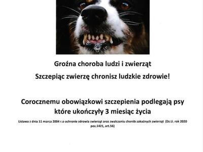 przypomnienie o konieczności szczepienia psów