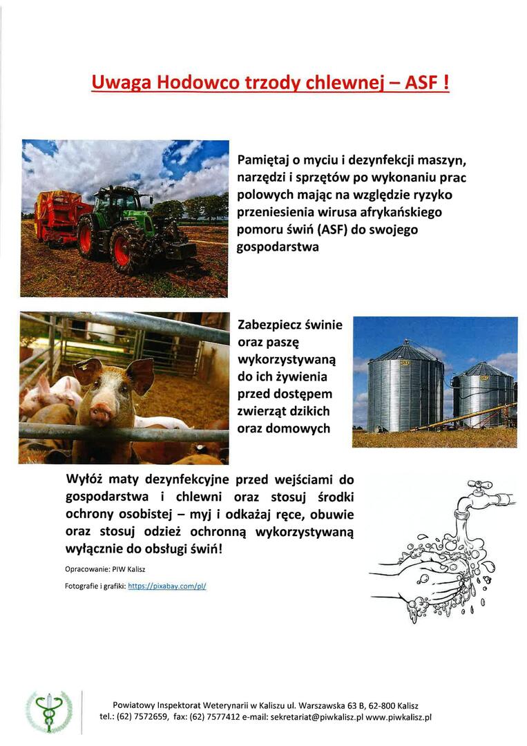 warunki zachowania ostrożności w hodowlach trzody chlewnej ASF