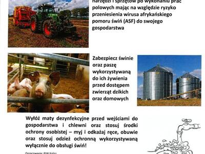 warunki zachowania ostrożności w hodowlach trzody chlewnej ASF