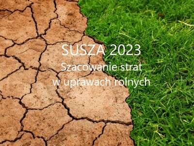 sucha ziemia i trawa