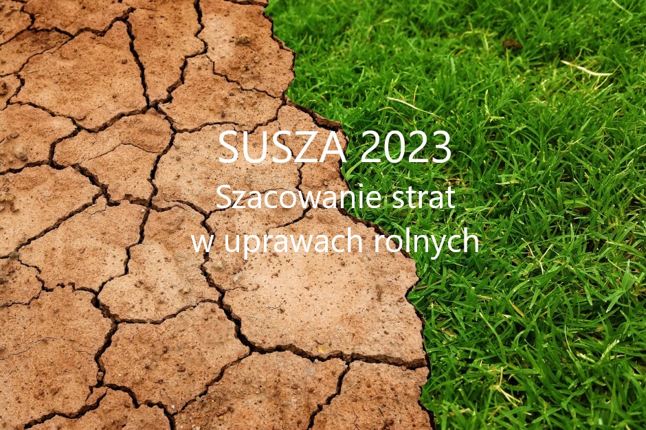 sucha ziemia i trawa