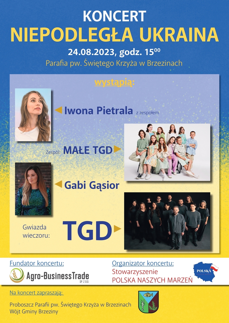 Niebiesko-żółty plakat z gwiazdami koncertu