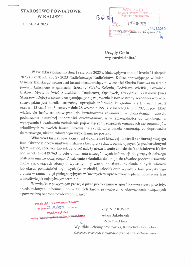 Informacja odnośnie do ochrony lasów niestanowiących własności Skarbu Państwa przed kornikiem ostrozębnym 
