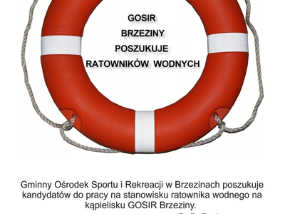 ogłoszenie GOSIR zatrudni ratownika wodnego