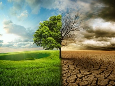 skutki zmian klimatu susza