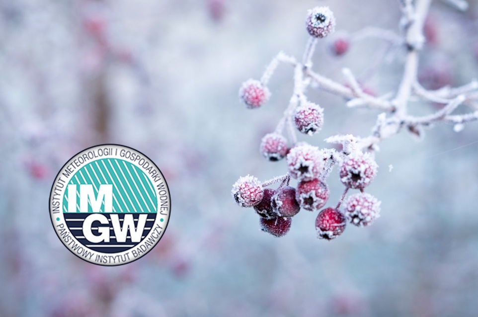 przymrozki