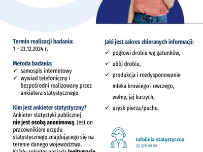 Badania ankietowe