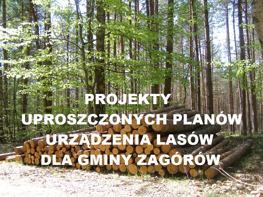 Plany urządzenia lasów 