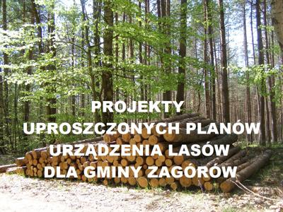 Plany urządzenia lasów