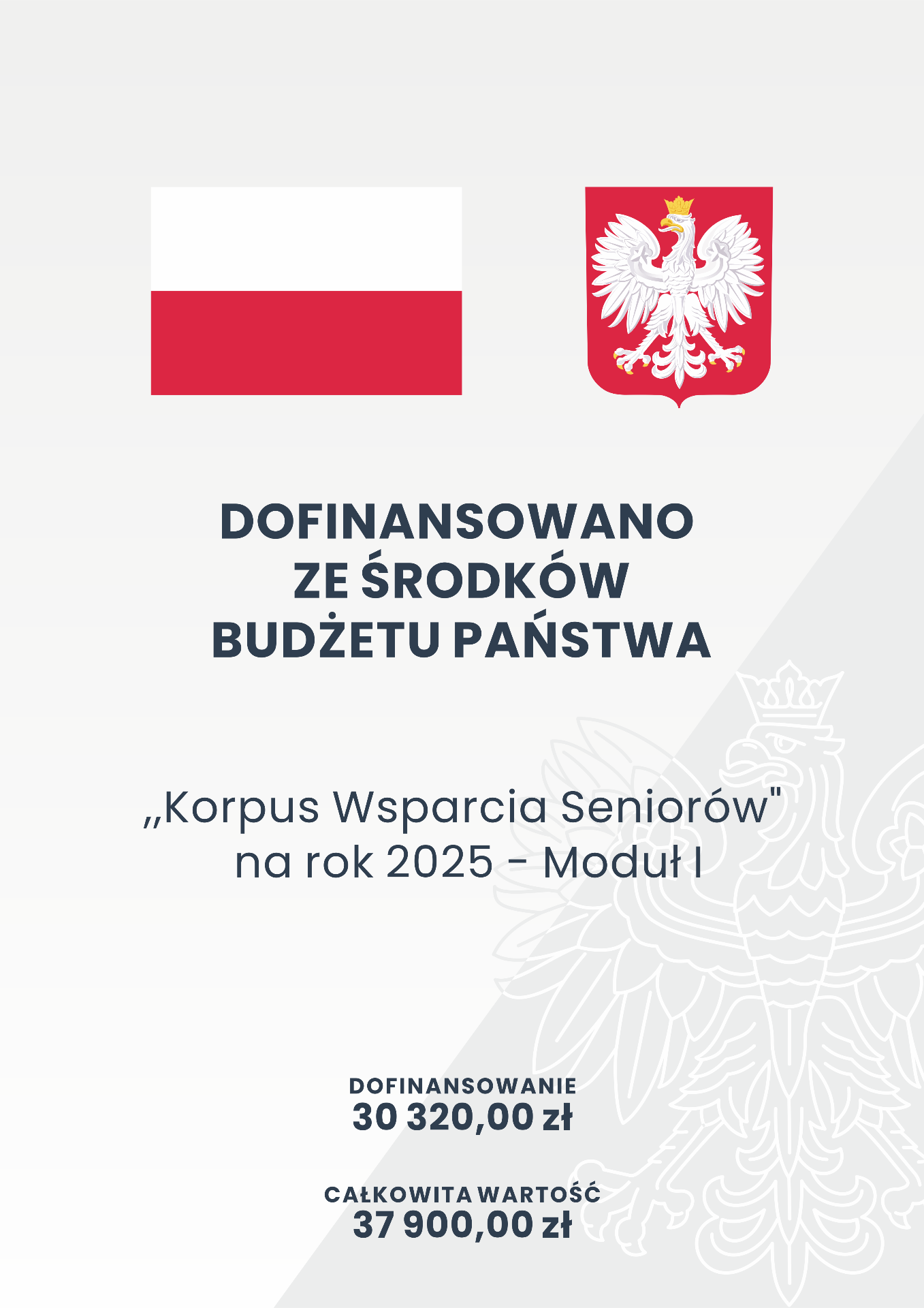 Informacja o Programie Ministra Rodziny, Pracy i Polityki Społecznej „Korpus Wsparcia Seniorów” na rok 2025 