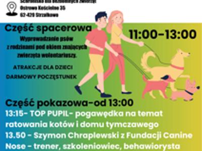 Dzień Otwarty w Schronisku