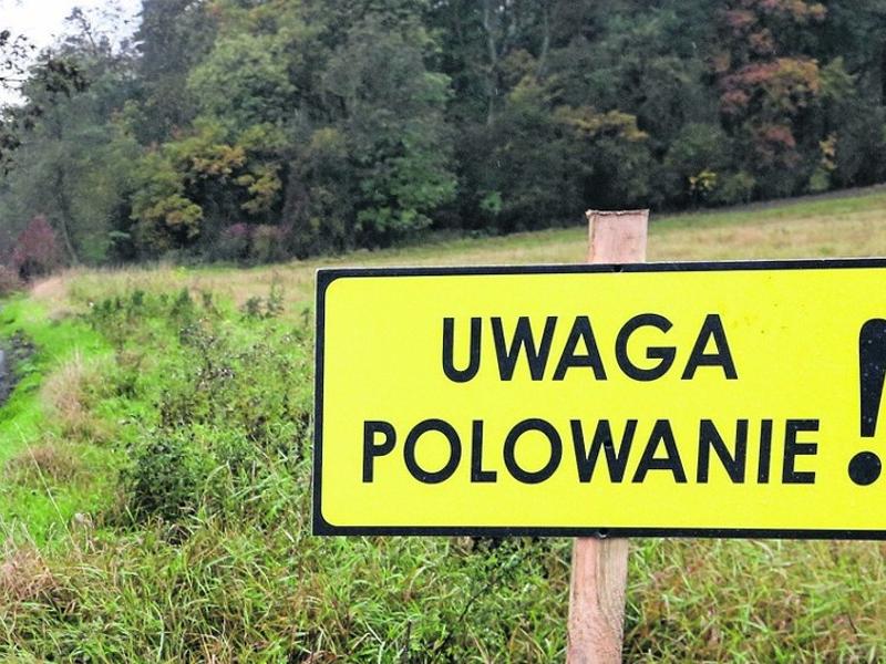 Plany polowań zbiorowych
