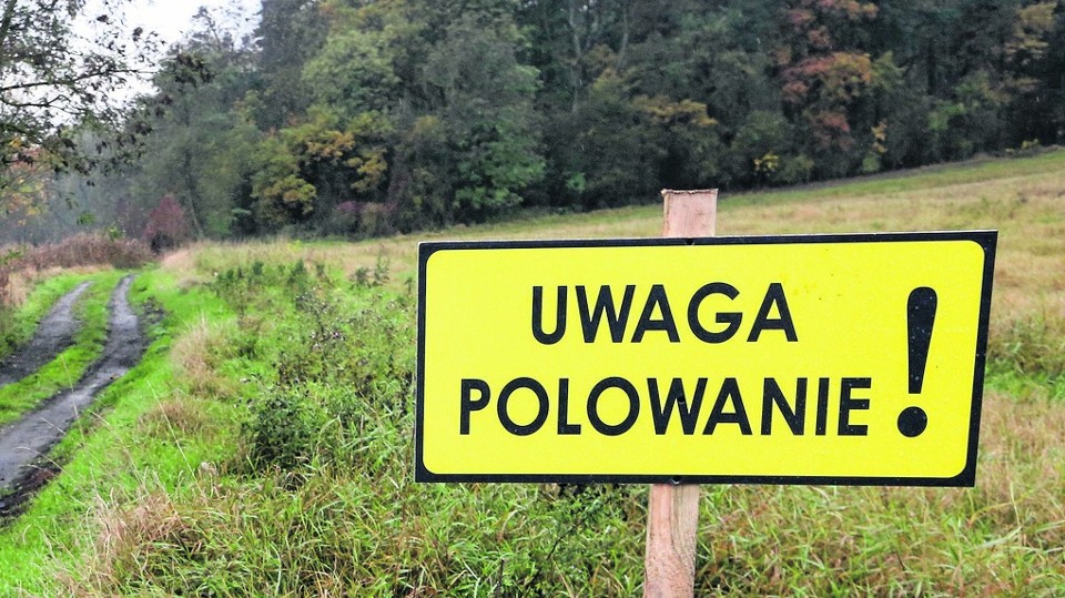 Plany polowań zbiorowych