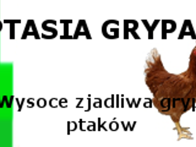 Komunikat Powiatowego Lekarza Weterynarii w Słupcy w sprawie wysoce zjadliwej grypy ptaków HPA.