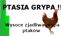 Komunikat Powiatowego Lekarza Weterynarii w Słupcy w sprawie wysoce zjadliwej grypy ptaków HPA.