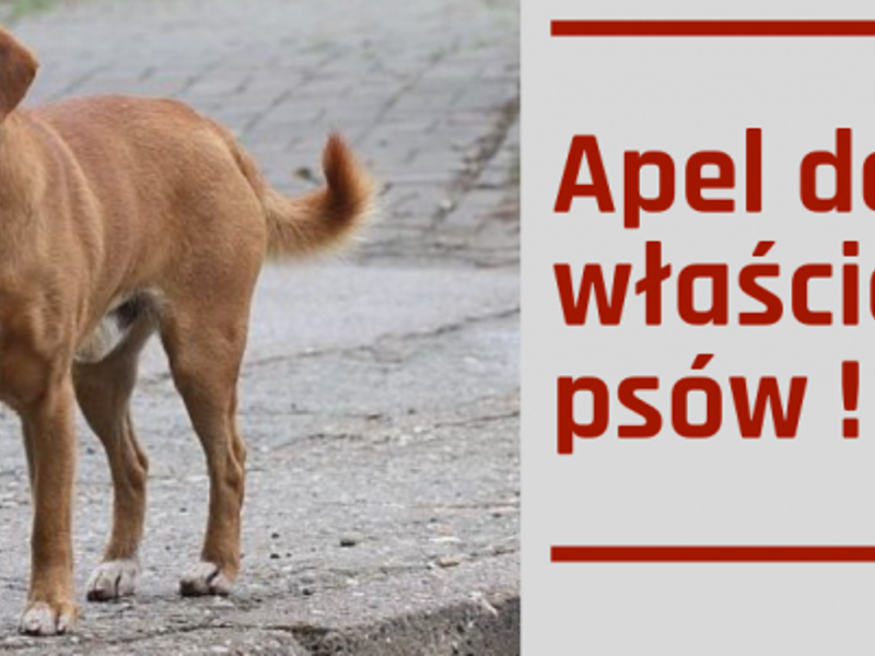 INFORMACJA DLA WSZYSTKICH WŁAŚCICELI PSÓW