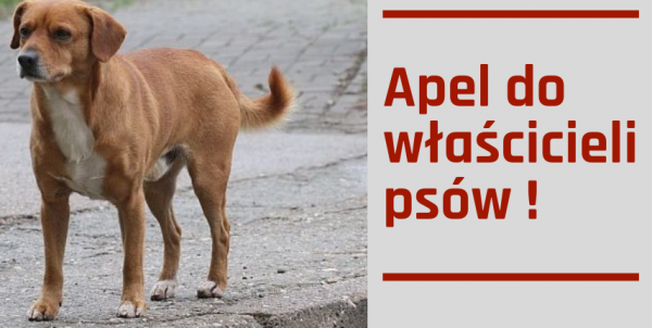 INFORMACJA DLA WSZYSTKICH WŁAŚCICELI PSÓW 