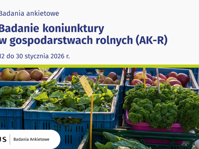 Opis graficzny badania