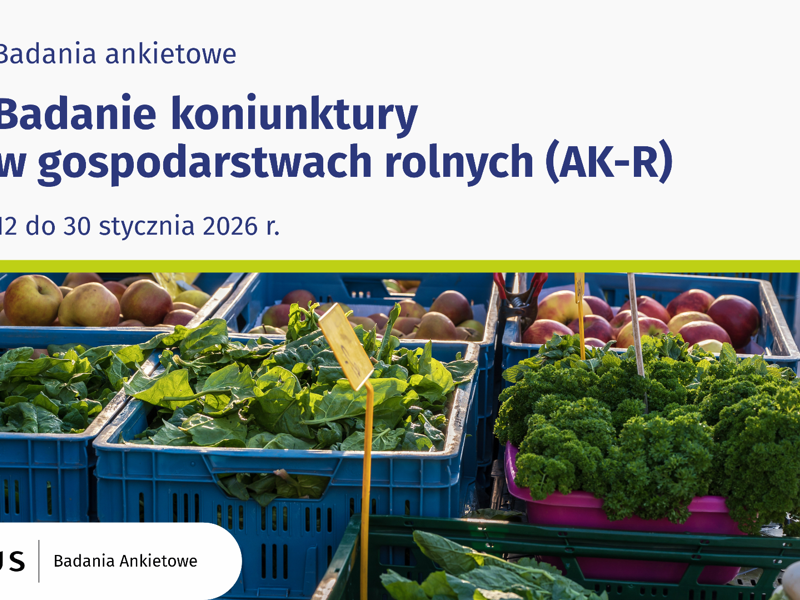 Opis graficzny badania