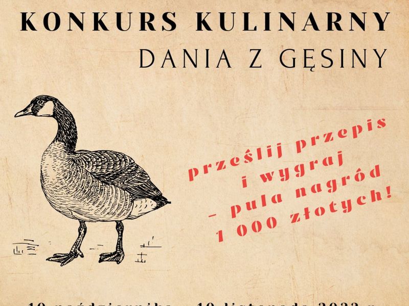 zdjęcie przedstawiające gęś oraz informacje o konkursie kulinarnym "Dania z gęsiny"