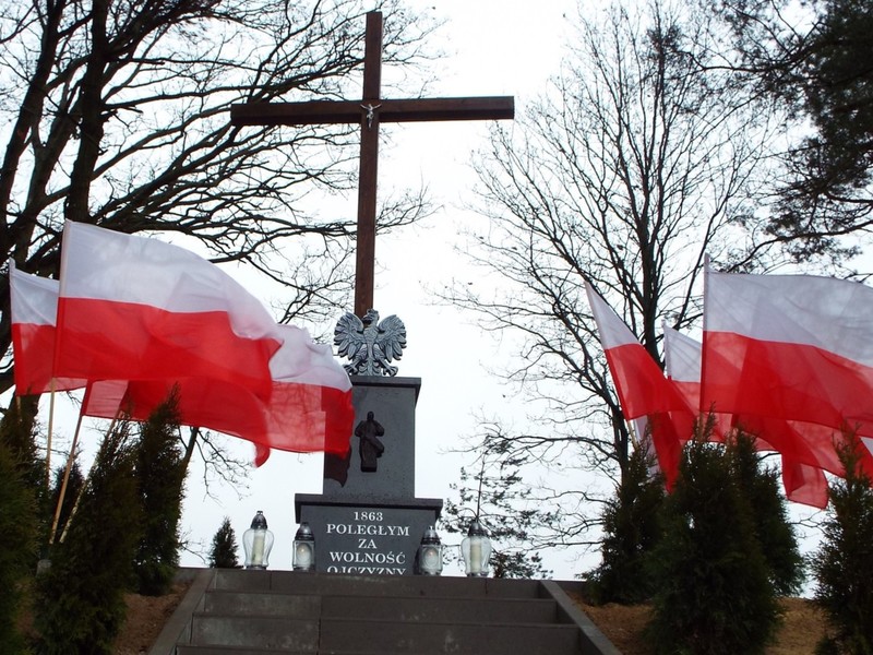 „W KRWAWEM POLU SREBRNE PTASZE…’’