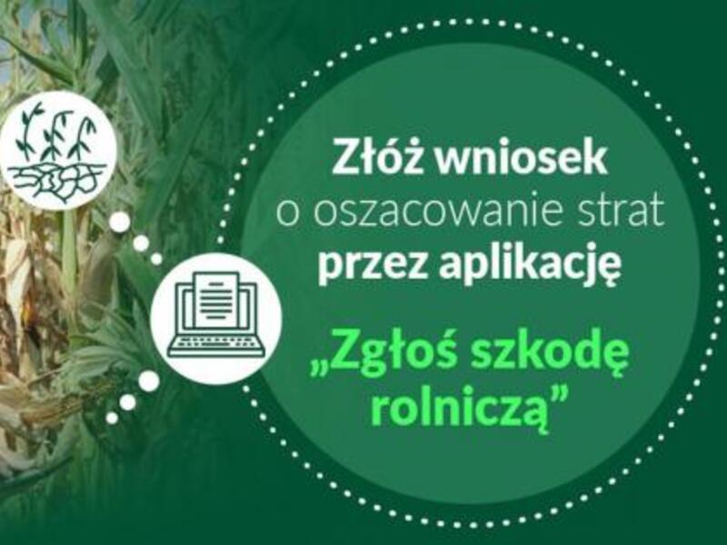 INFORMACJA W SPRAWIE SUSZY