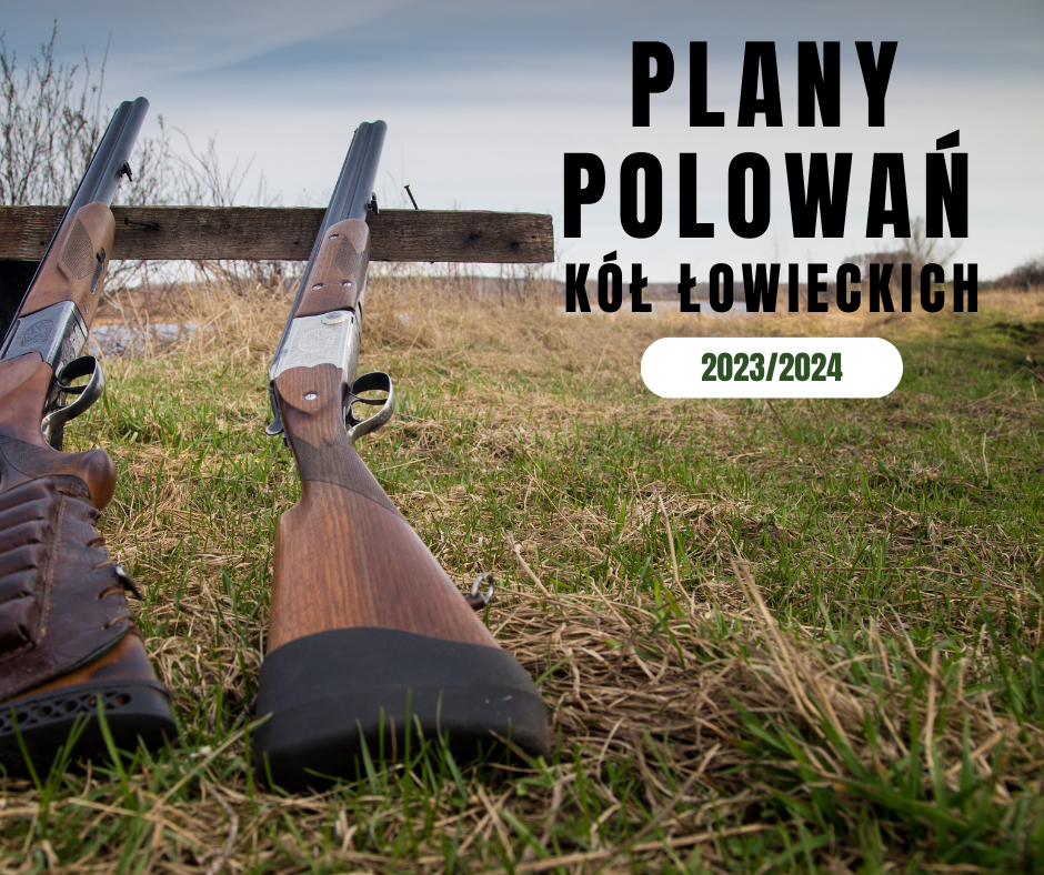 Plany polowań zbiorowych