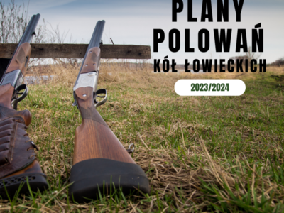 Plany polowań zbiorowych