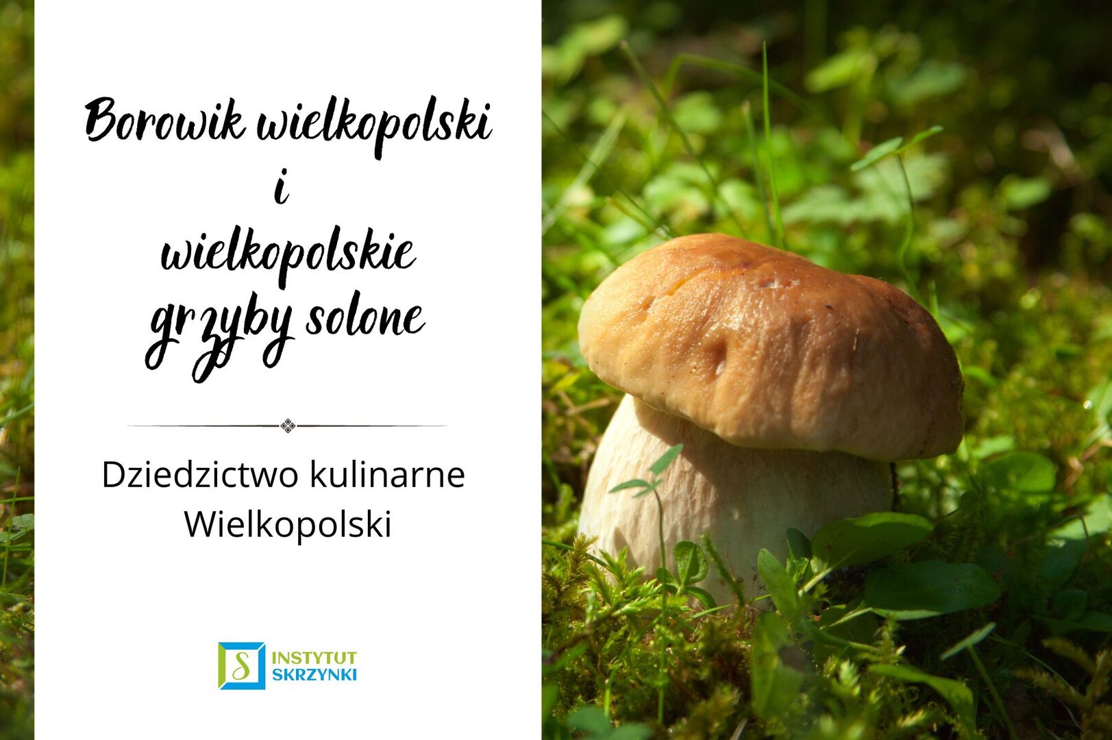 Borowik wielkopolski i wielkopolskie grzyby solone - plakat