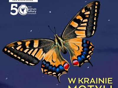 Noc Muzeów 2024: W krainie motyli