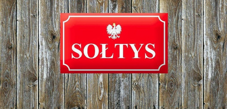 Wybory sołtysów