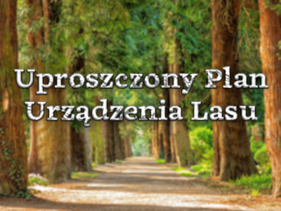 Projekty uproszczonych planów urządzenia lasu