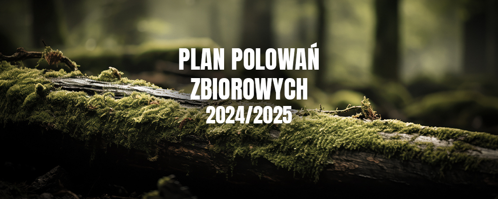 Plany polowań zbiorowych