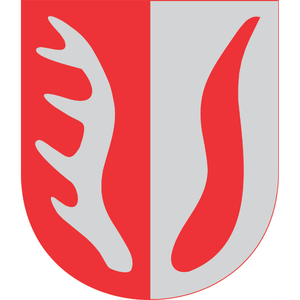 Konsultacje społeczne w Gminie Orchowo – głosowanie na herb